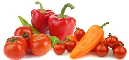 Rajčata a papriky