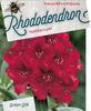 Rododendron 'Halfdan Lem' – Rhododendron 'Halfdan Lem'



 - 1/2