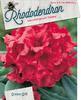 Rododendron (Y) 'Dopey' – Rhododendron (Y) 'Dopey'




 - 1/2