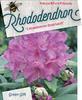 Rododendron 'Catawbiense Boursault' – Rhododendron 'Catawbiense Boursault'



 - 1/2