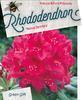 Rododendron (T) 'Nova Zembla' – Rhododendron (T) 'Nova Zembla' - 1/2