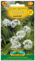 Česnek Medvědí - Allium Ursinum - 40 semen