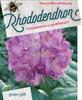 Rododendron (T) 'Catawbiense Grandiflorum'-Rhododendron (T) 'Catawbiense Grandiflorum' - 1/3
