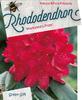 Rododendron 'Markeeta's Prize' – Rhododendron 'Markeeta's Prize'



 - 1/3