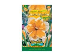 Narcis zahradní, orchideokvětý ORANGERY 3ks