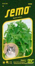 SEMO Šanta kočičí - Cat Grass 30cm, modré květy 0,2g