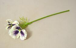 Maceška květ bílá-fialová 26cm