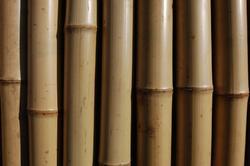 Tyč bambusová 90m 10-12 mm